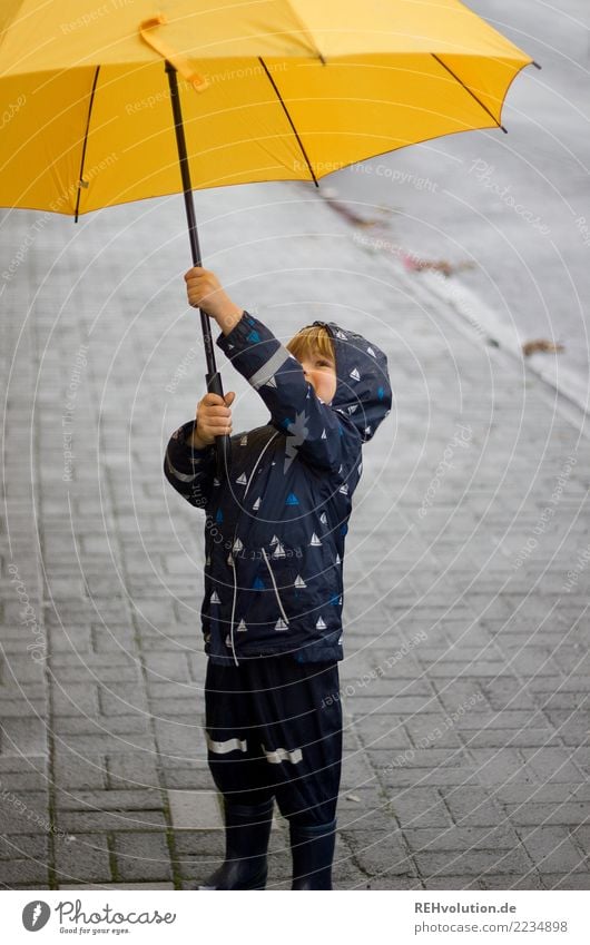 sauwetter Mensch Kind Kleinkind Junge Kindheit 1 Herbst schlechtes Wetter Regen Stadt Fußgänger Straße Gummistiefel festhalten Lächeln stehen authentisch klein