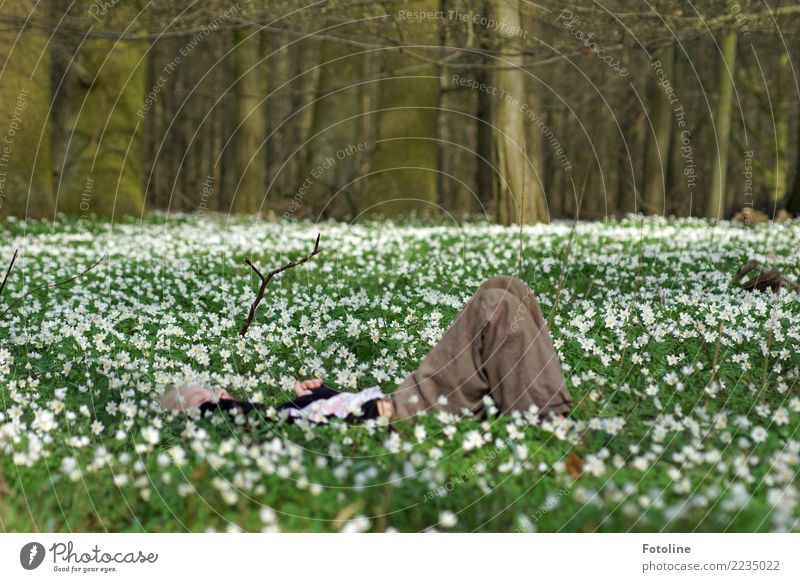 Ich träum vom Frühling Mensch feminin Kind Mädchen Kindheit 1 3-8 Jahre Umwelt Natur Landschaft Pflanze Schönes Wetter Baum Blume Blüte Wiese Wald frei