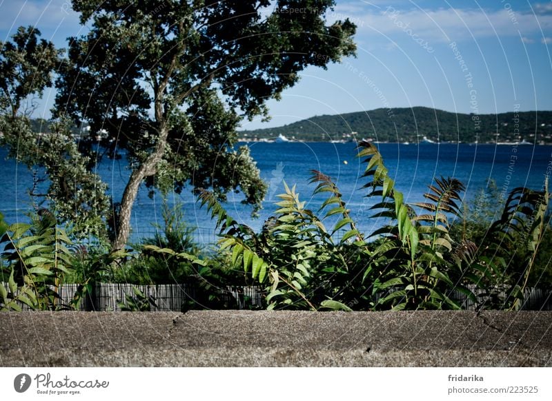 entlang der cote d'azur Landschaft Schönes Wetter Baum Sträucher Hügel Küste Seeufer Bucht Meer Insel St. Tropez Frankreich Fischerdorf Kleinstadt Hafenstadt