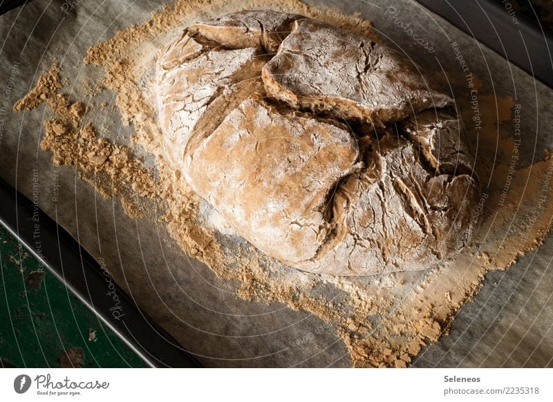 Landbrot Lebensmittel Getreide Teigwaren Backwaren Brot Ernährung Essen Frühstück Abendessen Bioprodukte Vegetarische Ernährung frisch Gesundheit lecker