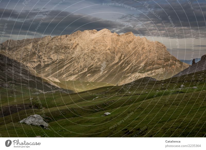 Rückweg, Wanderweg in den Bergen, es wird Abend 2 Mensch Landschaft Himmel Wolken Sommer Gras Felsen Berge u. Gebirge Schneebedeckte Gipfel Picos de Europa