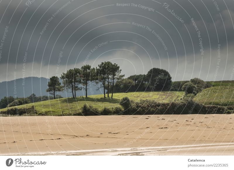 Strandlandschaft mit Bäume und Wiesen wandern Landschaft Sand Wasser Himmel Gewitterwolken Sommer schlechtes Wetter Baum Gras Sträucher Kiefer Feld Hügel Küste