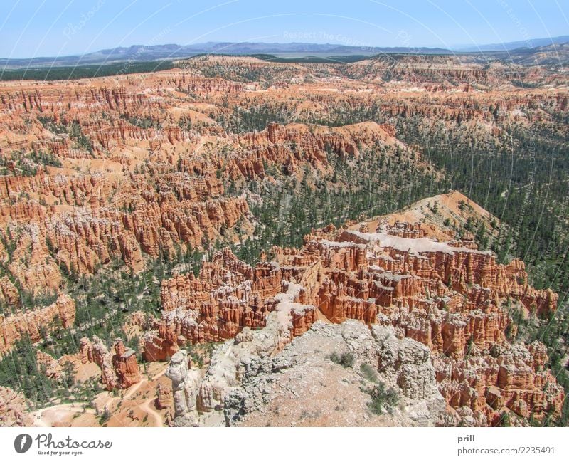 Bryce Canyon National Park Tourismus Natur Sand Baum Felsen Stein braun rot Utah usa Nationalpark Hoodoos Gesteinsformationen Erosion bryce canyon verwittert