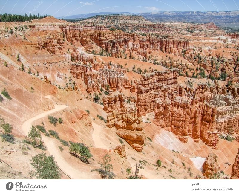 Bryce Canyon National Park Tourismus Natur Sand Baum Felsen Stein braun rot Utah usa Nationalpark Hoodoos Gesteinsformationen Erosion bryce canyon verwittert