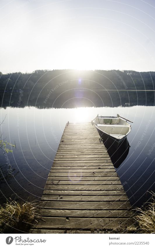 Der Steg am See Lifestyle harmonisch Wohlgefühl Zufriedenheit Sinnesorgane Erholung ruhig Freizeit & Hobby Ferien & Urlaub & Reisen Tourismus Ausflug Abenteuer