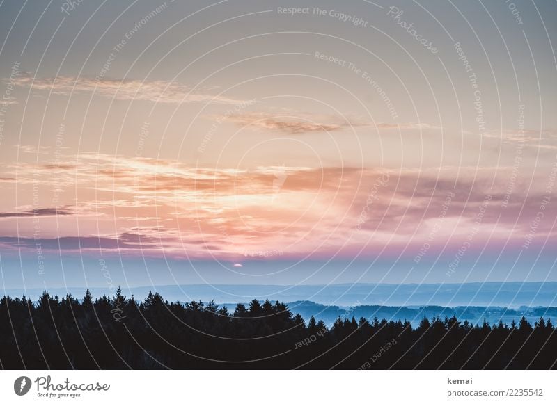 Sonnenaufgang harmonisch Wohlgefühl Zufriedenheit Sinnesorgane Erholung ruhig Freizeit & Hobby Abenteuer Ferne Freiheit Natur Landschaft Tier Himmel Wolken