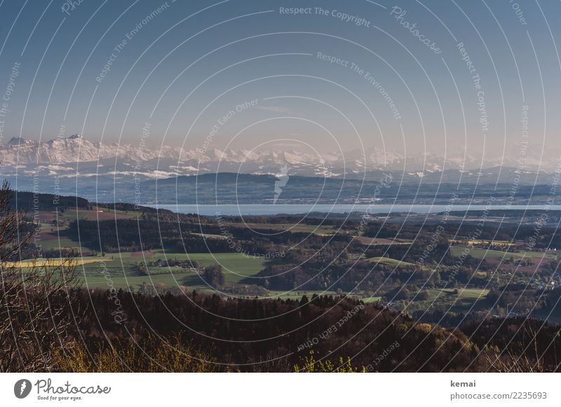 Bodenseeblick Erholung ruhig Freizeit & Hobby Ferien & Urlaub & Reisen Ausflug Abenteuer Ferne Freiheit Winter Schnee Natur Landschaft Wasser Wolkenloser Himmel