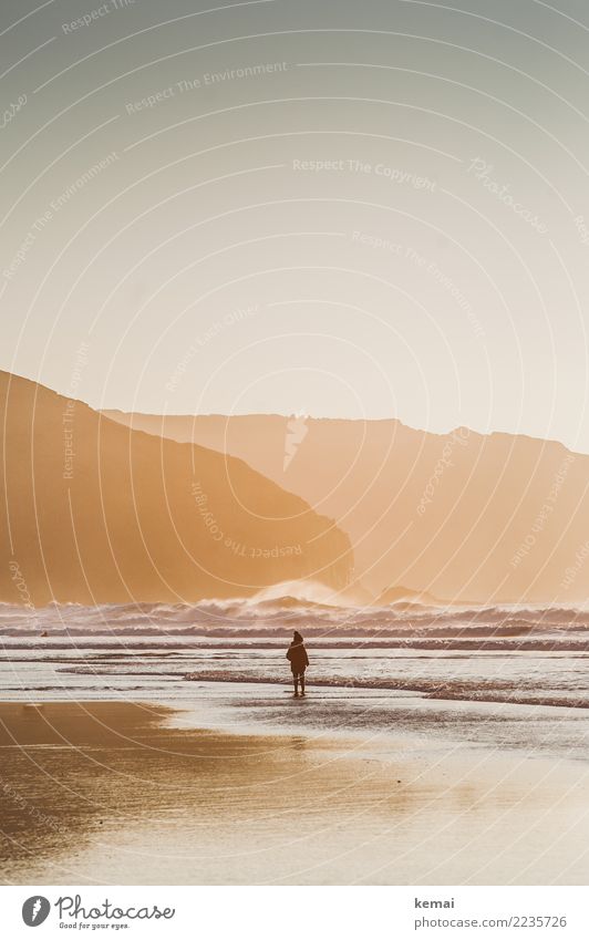 Wunderwelt Strand harmonisch Wohlgefühl Zufriedenheit Sinnesorgane Erholung ruhig Freizeit & Hobby Spielen Ferien & Urlaub & Reisen Ausflug Abenteuer Ferne