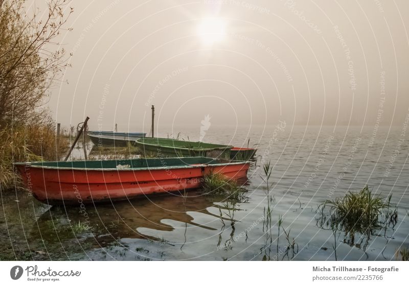 Boote am nebeligen See Freizeit & Hobby Angeln Ferien & Urlaub & Reisen Umwelt Natur Landschaft Wasser Sonne Sonnenlicht Nebel Seeufer Bootsfahrt Ruderboot Kahn