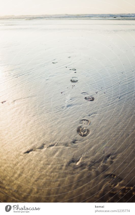 Walking on sand. Lifestyle Wellness Leben harmonisch Wohlgefühl Zufriedenheit Sinnesorgane Erholung ruhig Ferien & Urlaub & Reisen Tourismus Ausflug Abenteuer