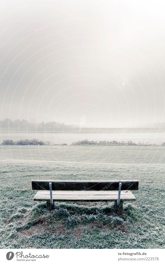 Kalter Hintern? Umwelt Natur Landschaft Urelemente Luft Horizont Sonne Winter Nebel Eis Frost Schnee Gras Park Wiese Hügel Seeufer Flussufer kalt Bank Holzbank