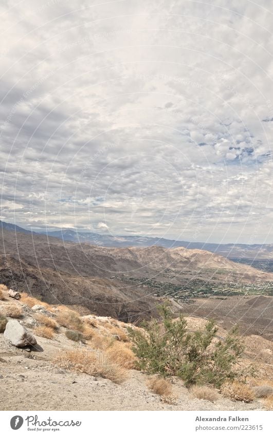 Landschaft Palm Springs Umwelt Natur Pflanze Urelemente Erde Sand Luft Himmel Wolken Horizont Sommer Klima Klimawandel Wetter Schlucht Wüste Dürre