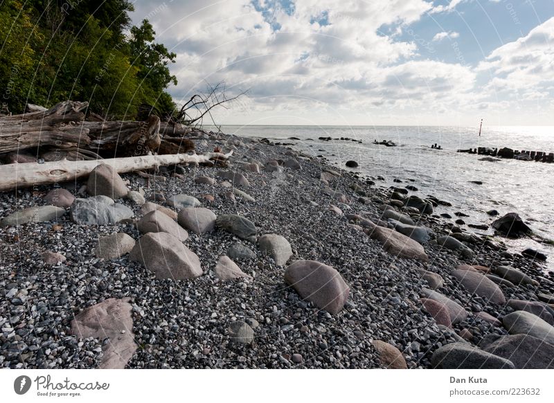 Weiße Kiesel Natur Landschaft Wasser Wolken Sommer Schönes Wetter Küste Strand Ostsee Insel Rügen entdecken außergewöhnlich Sauberkeit trist weiß vernünftig