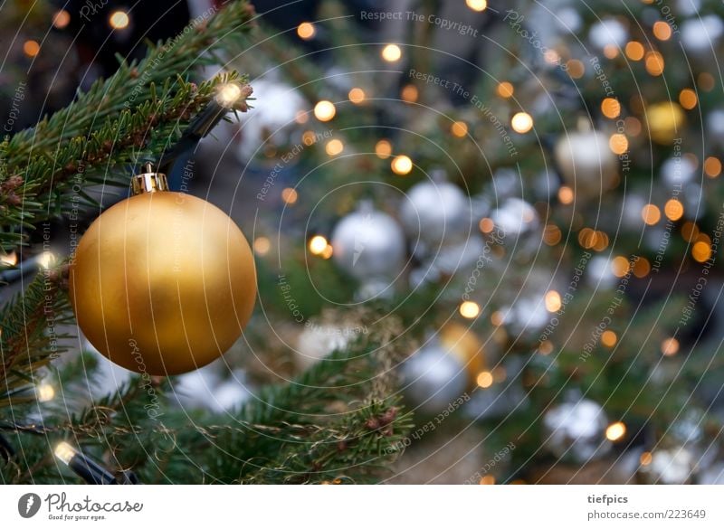 glitzer Kerze gold silber Fröhlichkeit Geborgenheit Christbaumkugel Weihnachtsbaum Lichterkette Baumschmuck Weihnachtsmarkt elektrisch Nadelbaum Tanne Fichte