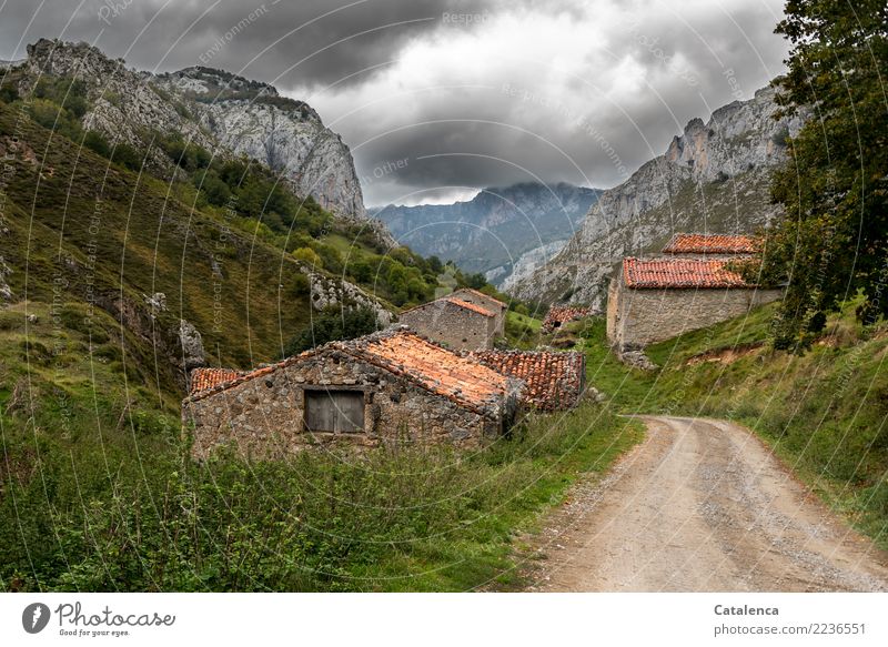 Erdweg, umsäumt von Steinhütten im Gebirge Landschaft Gewitterwolken Sommer schlechtes Wetter Baum Gras Sträucher Wiese Berge u. Gebirge Haus Hütte Straße