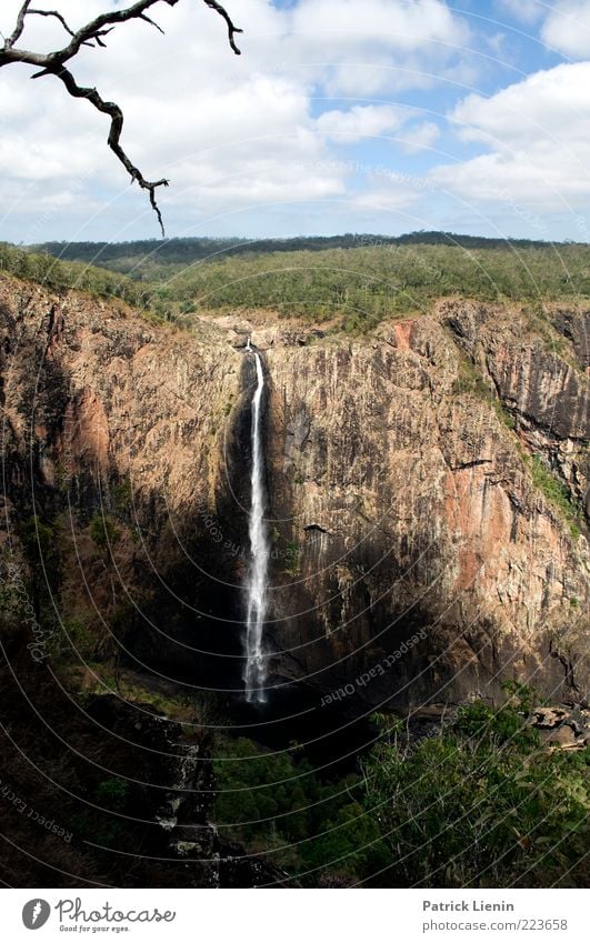 Wallaman Falls Ferne Freiheit Umwelt Natur Landschaft Pflanze Urelemente Wasser Himmel Wetter Schönes Wetter Baum Wald Urwald Hügel Felsen Schlucht Wasserfall