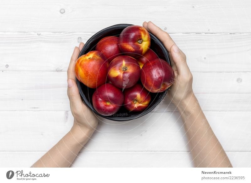 Weibliche Hände, die eine Schüssel Nektarine halten Lebensmittel Frucht Ernährung Essen Frühstück Mittagessen Schalen & Schüsseln Topf Tasse Becher Natur Sommer