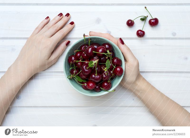 Weibliche Hände, die eine Schüssel Kirschen halten Lebensmittel Ernährung Essen Frühstück Mittagessen Abendessen Schalen & Schüsseln Topf Becher Natur Diät