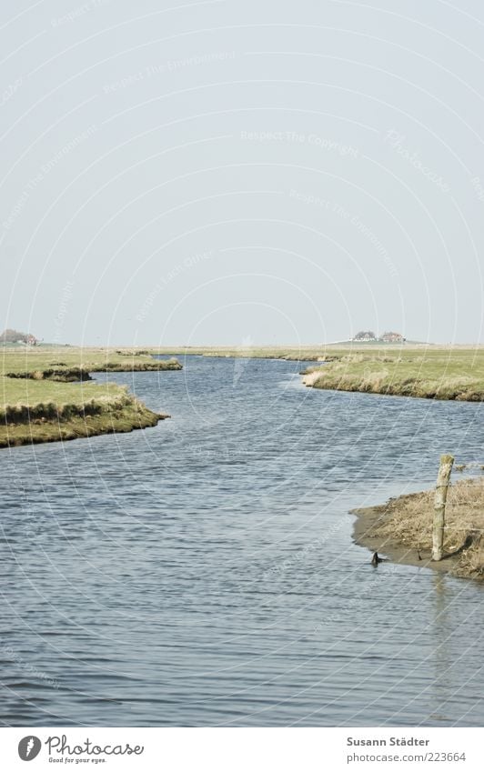 Hooge Landschaft Wolkenloser Himmel Hügel Wellen Küste Flussufer Nordsee klein Halligen Insel Nordseeinsel Nordseeküste Buhne Moos Wohnsiedlung Menschenleer