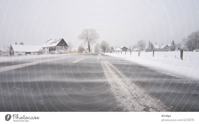 Eisiger Wind Winter Wetter Sturm Frost Schnee Dorf Menschenleer Verkehrswege Straße frieren authentisch kalt natürlich bedrohlich Klima Sicherheit Naturgewalt