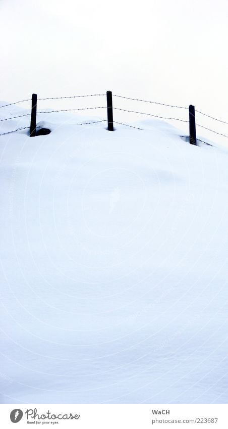 Schneehang, südliche Nordalpen Winter Landwirtschaft Forstwirtschaft Umwelt Natur Landschaft Klima Klimawandel Wetter Hügel Alpen kalt oben Farbfoto