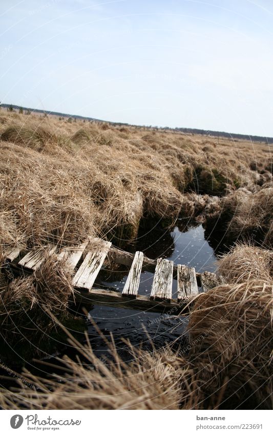 stroh im kopf Landschaft Erde Wasser Horizont Dürre Gras Moor Sumpf Bach Brücke alt trocken ruhig Ende Stimmung Holz Stroh schwarz kaputt verfallen Loch Balken