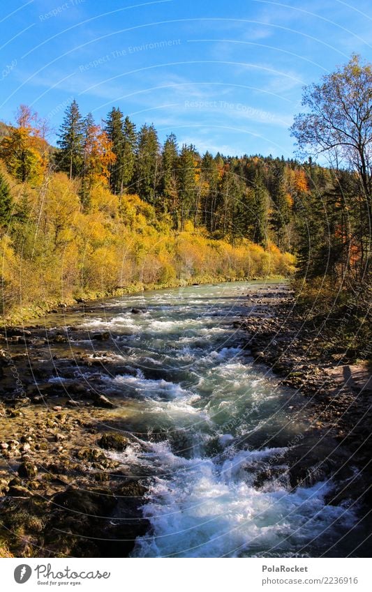 #S# Wildwasser Umwelt Natur Wasser Herbst Leben gelb Strömung Stein blau Himmel Alpen Wellen Paddeln Flußbett Klarheit Farbfoto Außenaufnahme Menschenleer Tag