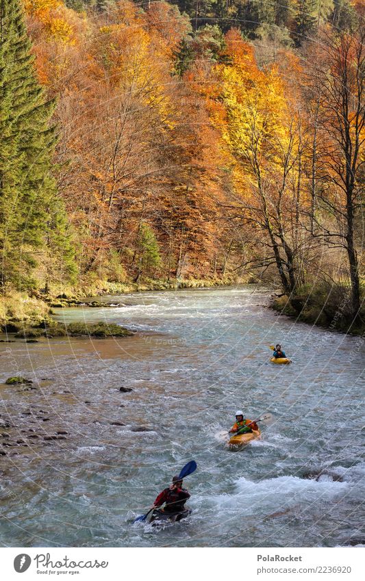 #S# Kajak Wandern IV Wassersport Schwimmen & Baden Alpen wandern Natur Wildwasser Wald Herbst gelb orange Sport Extremsport Fluss Menschengruppe Paddeln