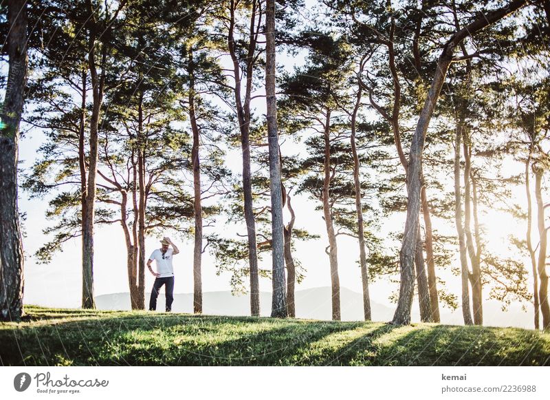 Daddy cool Lifestyle Stil Leben Wohlgefühl Zufriedenheit ruhig Freizeit & Hobby Abenteuer Mensch maskulin Mann Erwachsene 1 Landschaft Schönes Wetter Baum Wald