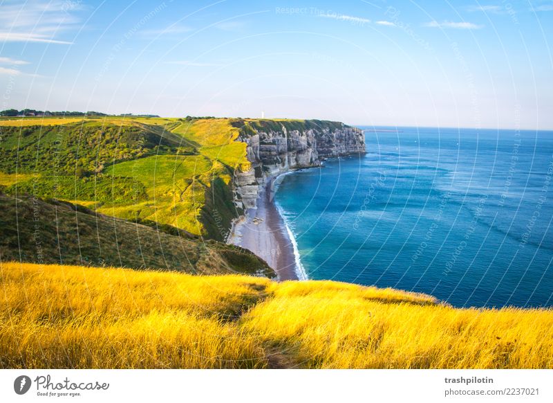 Étretat Ferien & Urlaub & Reisen Tourismus Ausflug Abenteuer Ferne Freiheit Kreuzfahrt Wellen wandern Natur Landschaft Pflanze Schönes Wetter Wiese Feld Küste