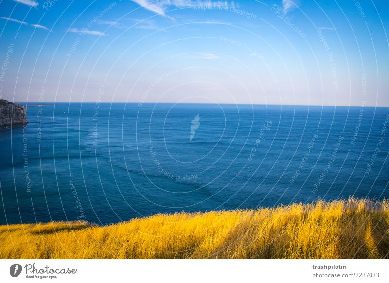 Etretat Nordsee Étretat Frankreich Normandie Landschaft Kreidefelsen Meer Herbst Natur Gegenlicht Felsen