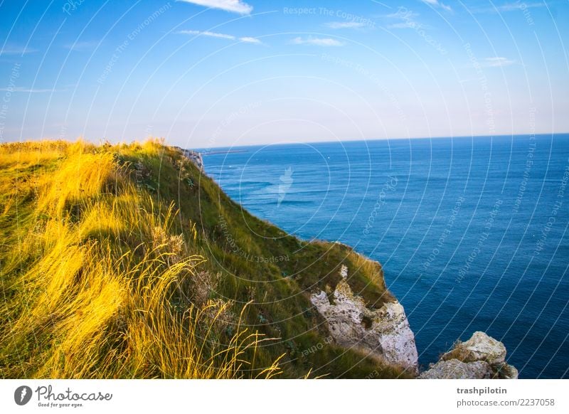 Etretat Nordsee Étretat Frankreich Normandie Landschaft Kreidefelsen Meer Herbst Natur Gegenlicht Felsen