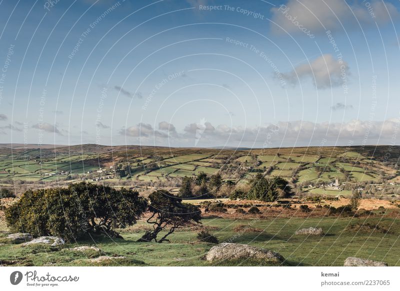 Bilderbuchwetter harmonisch ruhig Ausflug Ferne Freiheit wandern Umwelt Natur Landschaft Himmel Wolken Schönes Wetter Gras Sträucher Feld Hügel Felsen Moor