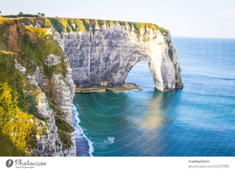 Etretat Umwelt Natur Landschaft Wasser Sommer Schönes Wetter Nordsee Étretat Frankreich Europa Ferien & Urlaub & Reisen Felsen Klippe Freiheit Farbfoto