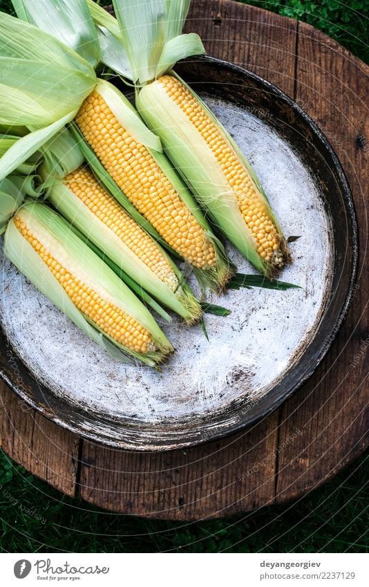 Roher Mais im Garten Gemüse Ernährung Sommer Blatt Holz frisch natürlich gelb gold grün Ernte süß Hintergrund Kolben Lebensmittel Gesundheit Ackerbau Zutaten