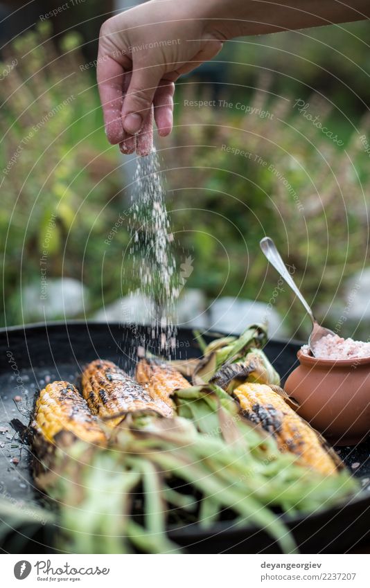 Gerösteter Mais gesalzen. Gemüse Ernährung Vegetarische Ernährung Sommer Holz heiß gelb weiß grillen gebraten Lebensmittel Kolben Salz Hintergrund Snack