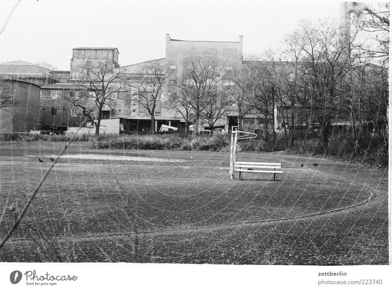 Ostberlin Umwelt Natur Landschaft Herbst Park Hauptstadt Industrieanlage Mauer Wand Unlust Sehnsucht Heimweh Fernweh Platz Wiese Gras Rasen Sportplatz DDR