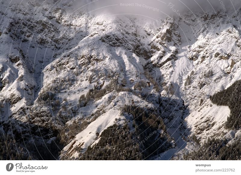 Morgennebel im Hochgebirge Umwelt Natur Landschaft Schönes Wetter Nebel Alpen Berge u. Gebirge Farbfoto Außenaufnahme Vogelperspektive Schnee Felsen