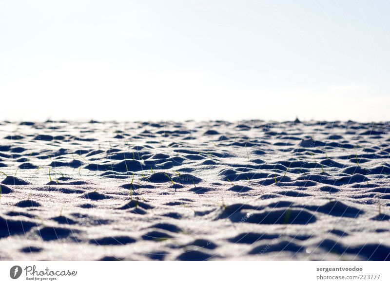 Snowy horizont Wohlgefühl ruhig Winter Schnee Winterurlaub Umwelt Natur Landschaft Pflanze Himmel Klima Schönes Wetter Eis Frost Gras Menschenleer Stimmung