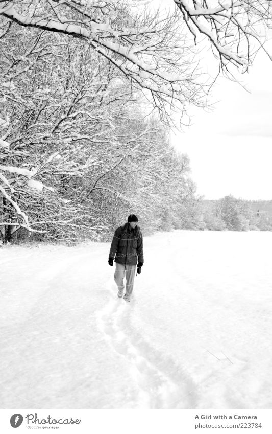 someone exactly like you Mensch maskulin Junger Mann Jugendliche Erwachsene 1 Winter Eis Frost Schnee Baum Wald Hose Jacke Handschuhe Mütze langhaarig Glück