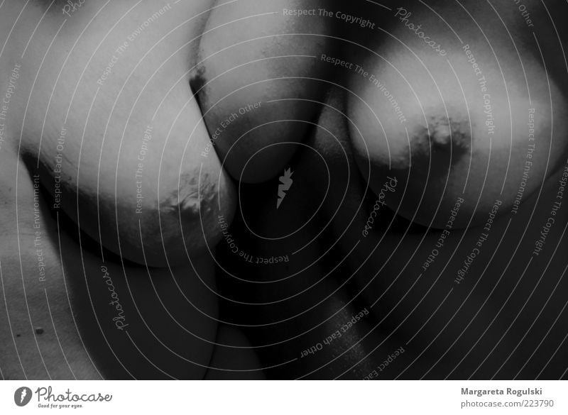 Busenfreundin Frau Erwachsene Brust 2 Mensch berühren ästhetisch Erotik nackt Schwarzweißfoto Studioaufnahme Detailaufnahme Makroaufnahme Akt Blitzlichtaufnahme