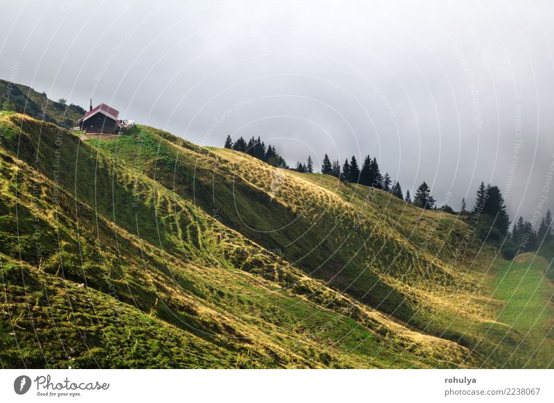 Sonnenlicht auf Almen und alte Hütte, Deutschland Ferien & Urlaub & Reisen Sommer Berge u. Gebirge wandern Haus Natur Landschaft Wetter Nebel Gras Wiese Hügel