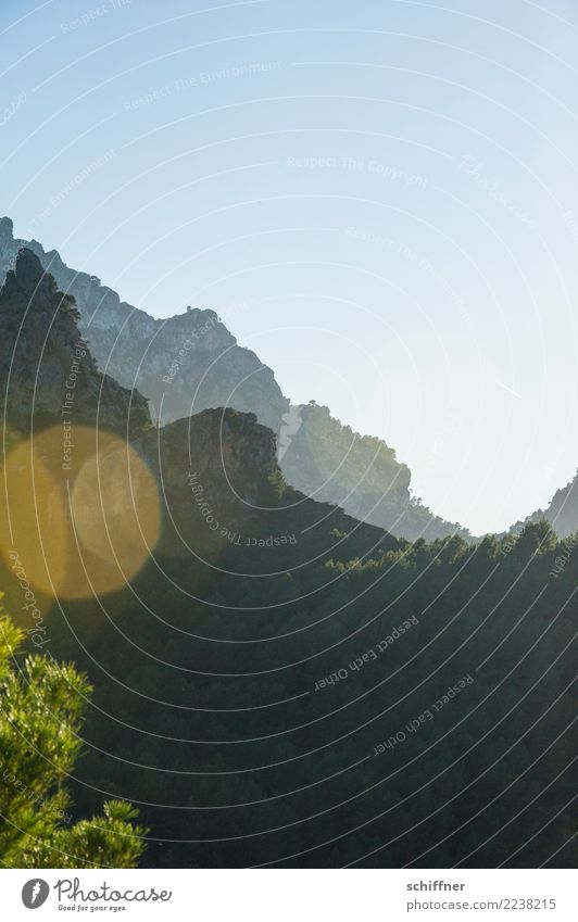 Jenseits des Mainstreams | Mallorca Umwelt Natur Landschaft Wolkenloser Himmel Sonnenlicht Schönes Wetter Pflanze Baum Felsen Berge u. Gebirge Gipfel dunkel