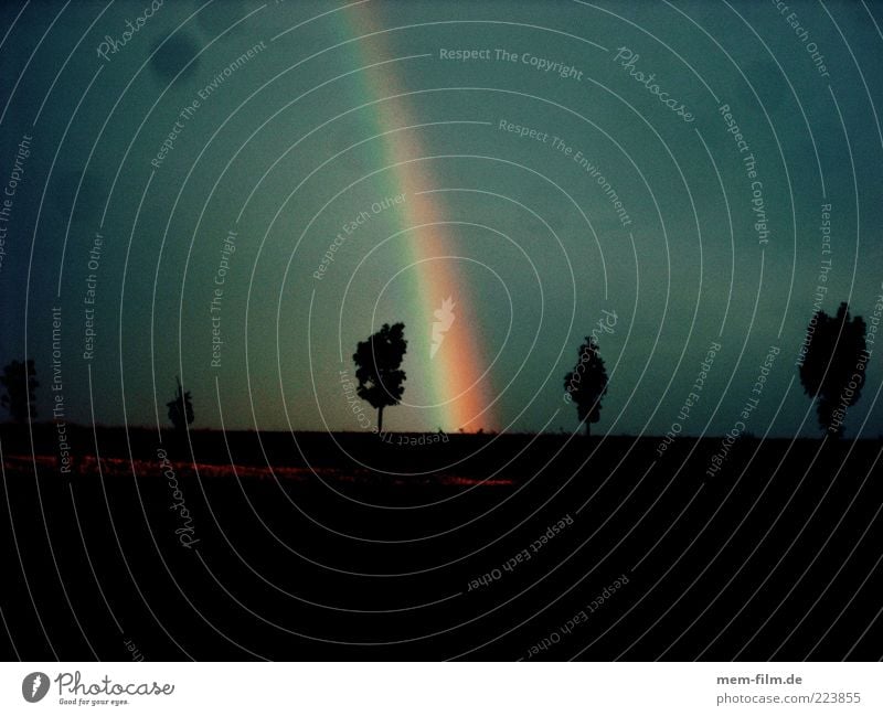 somewhere.... Regenbogen Wetter Unwetter Hoffnung Glaube dramatisch Dramatik Kitsch Natur April Baum Silhouette regenbogenfarben Naturphänomene