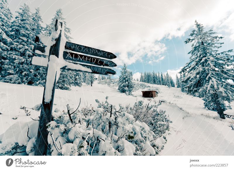 Zur Almhütte Ferien & Urlaub & Reisen Winter Schnee Winterurlaub Natur Landschaft Himmel Wolken Wetter Schönes Wetter Eis Frost Baum Wald Berge u. Gebirge