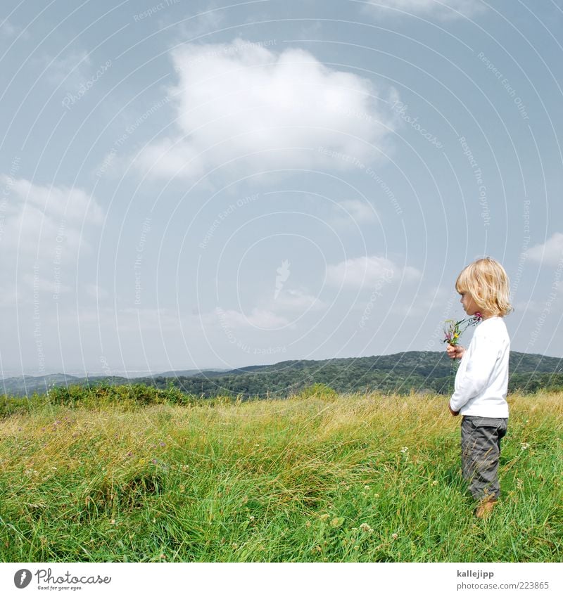 naturkunde Freizeit & Hobby Spielen Kindererziehung Bildung Mensch Junge Kindheit Leben 1 3-8 Jahre Umwelt Natur Landschaft Himmel Wolken Sonne Sommer Klima