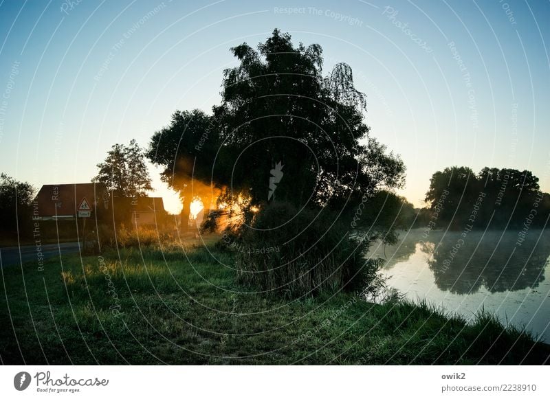 Epiphanie Umwelt Natur Landschaft Pflanze Luft Wasser Wolkenloser Himmel Horizont Schönes Wetter Baum Gras Sträucher Teich Dorfteich Haus leuchten Gelassenheit