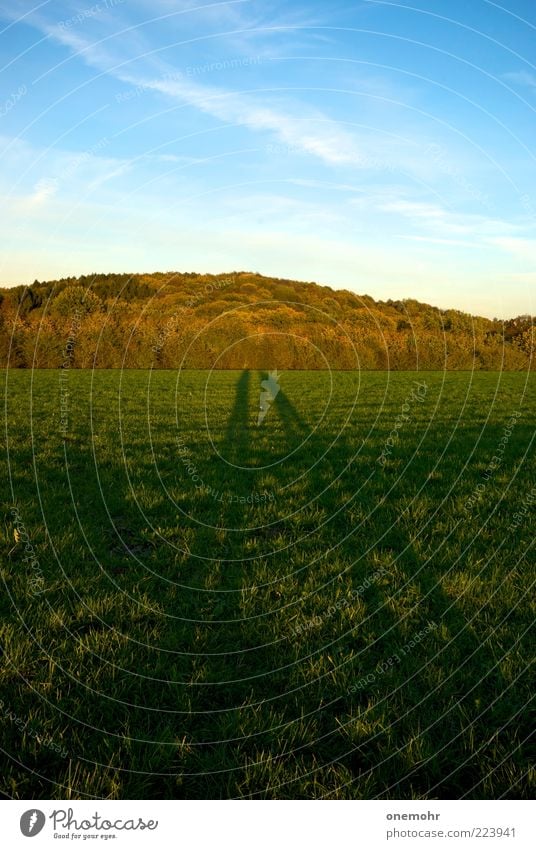 Shadows picking Flowers Mensch Paar 2 Natur Landschaft Pflanze Himmel Sommer Herbst Schönes Wetter Wiese Wald Hügel stehen frei natürlich schön blau grün