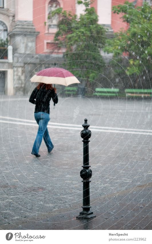 Under my umbrella Mensch feminin Junge Frau Jugendliche Erwachsene 1 18-30 Jahre Wetter schlechtes Wetter Unwetter Regen Ljubljana Slowenien Hauptstadt