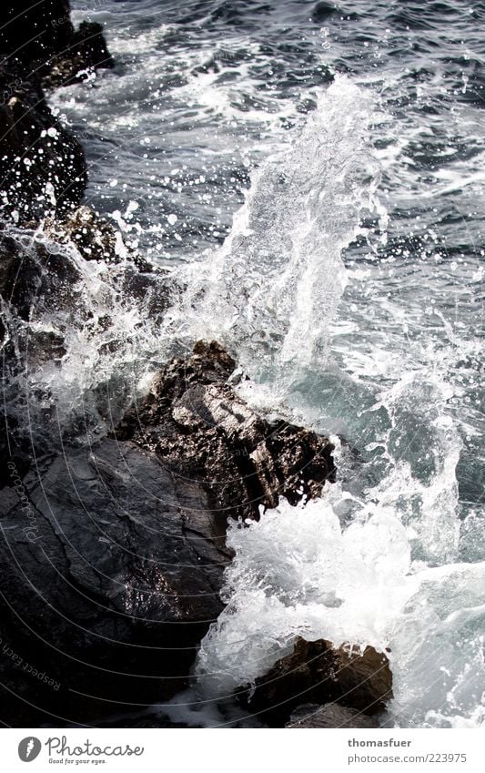 Squall Ferien & Urlaub & Reisen Sommer Meer Wellen Wasser Wassertropfen Schönes Wetter Wind Felsen Küste Bucht Stein nass chaotisch Brandung Felsküste Farbfoto